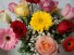 Dozen mixed roses and Gerbera Daisies (E) arranged in a vase with baby's breath!!
