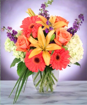 AURORA BOUQUET 