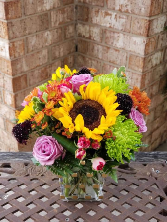 Aurum in the Autumn Seasonal Mix