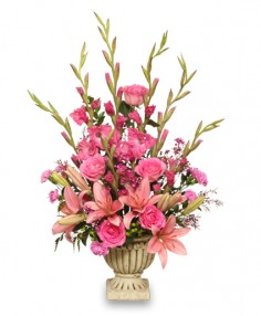 TENDER TRIBUTE Sympathy Arrangement in Glenhaven, NSW | Wild Bunch Glenhaven TENDER TRIBUTE Sympathy Arrangement in Glenhaven, NSW | Wild Bunch Glenhaven