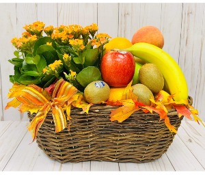 Autum Fruit basket with plant 