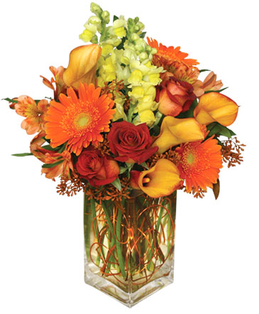 AUTUMN ADVENTURE Arrangement in Albany, NY | Ambiance Florals & Events