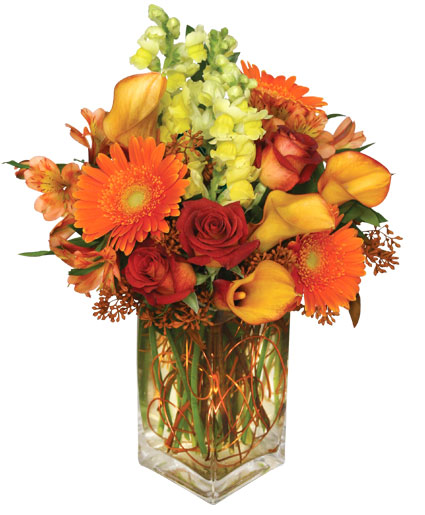 Orange Florist: The Enchanted Florist