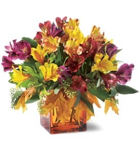 Autumn Alstroemerias