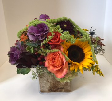 Autumn Birch box or glass cube   in Northport, NY | Hengstenberg's Florist