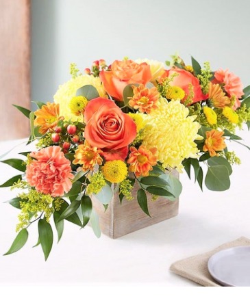 Autumn Blessings Boxed Floral in San Tan Valley, AZ | Wildflower Blooms and Baskets