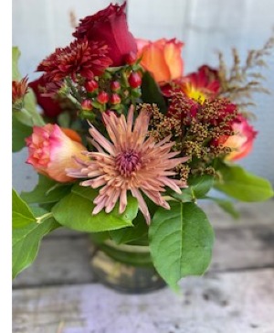 Autumn bliss compact  fall 