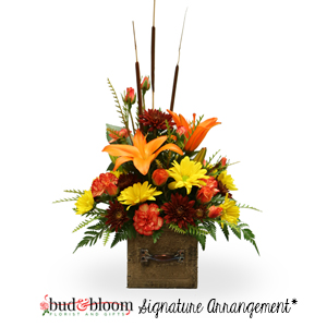 Autumn Blooms Fall Arrangement in Mooresville, IN | BUD AND BLOOM FLORIST AND GIFTS Autumn Blooms Fall Arrangement in Mooresville, IN | BUD AND BLOOM FLORIST AND GIFTS