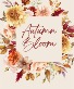 Autumn Blooms Workshop Nov 13 Sat apache junction 