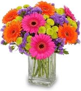WINTER BRIGHTS ARRANGEMENT