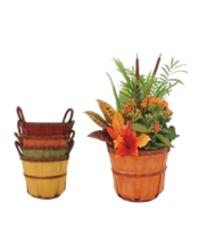 Autumn Bushel Garden 