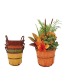 Autumn Bushel Garden 