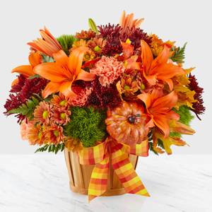 AUTUMN CELEBRATION FALL