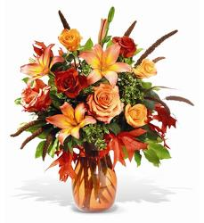 Autumn Charm