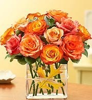 AUTUMN COLOR Dozen Rose Cube in Springfield, MO | BLOSSOMS AUTUMN COLOR Dozen Rose Cube in Springfield, MO | BLOSSOMS