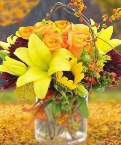 Autumn Colors 14