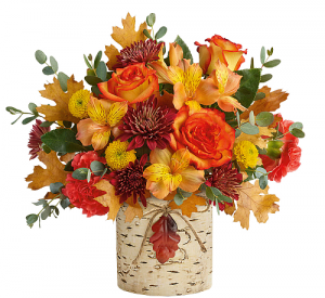 Autumn Colours Bouquet in Winnipeg, MB | CHARLESWOOD FLORISTS Autumn Colours Bouquet in Winnipeg, MB | CHARLESWOOD FLORISTS