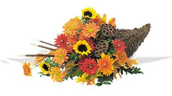 AUTUMN CORNUCOPIA