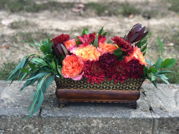 Autumn Crush