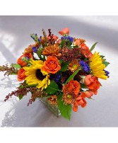 Autumn Cube Vase Arrangement (LGOE)