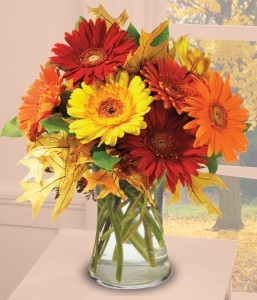 AUTUMN DAISIES Fall Arrangement