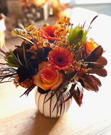 Autumn Days  in Wayne, NE | Bloom & Grace