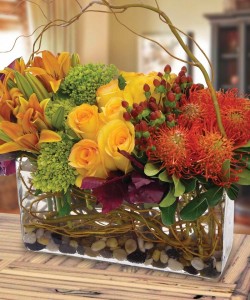 Autumn Delight
