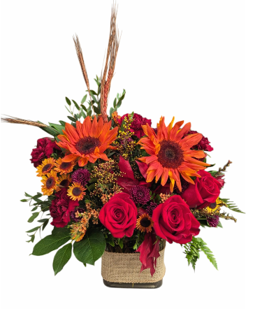 Autumn's Ember Glow  in Fitchburg, MA | CAULEY'S FLORIST & GARDEN CENTER Autumn's Ember Glow  in Fitchburg, MA | CAULEY'S FLORIST & GARDEN CENTER