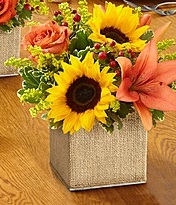 AUTUMN ESSENCE