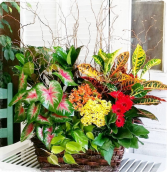 Fields of Fall European Garden Basket