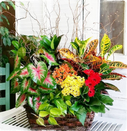 Fields of Fall European Garden Basket