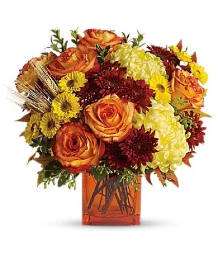 Autumn Expression