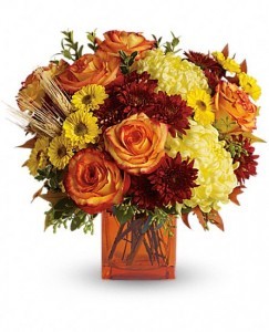 Autumn Expression Fall Flowers