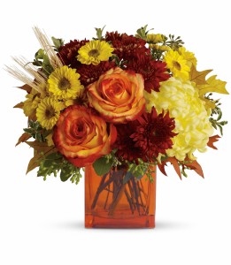 Autumn Expression HFL021A