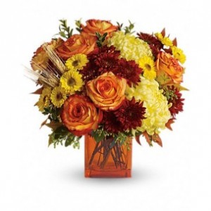 Autumn Expressions by Enchanted Florist
