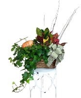 Autumn Garden Basket Basket Arrangement