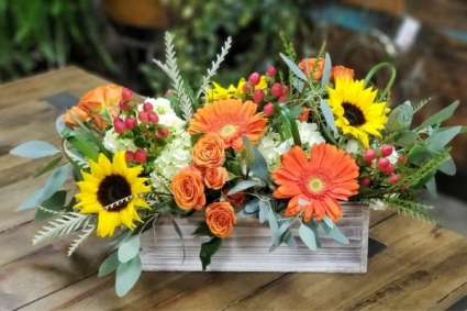 Autumn Garden Flowers for All Occasions