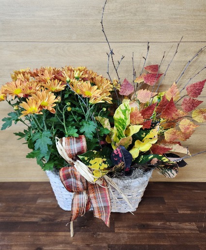 Autumn Garden T&V Original