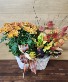 Autumn Garden T&V Original