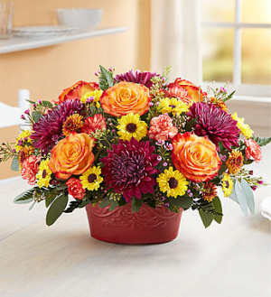 Autumn Gathering Casserole Dish by Pfaltzgraff™ in Gainesville, FL | PRANGE'S FLORIST Autumn Gathering Casserole Dish by Pfaltzgraff™ in Gainesville, FL | PRANGE'S FLORIST