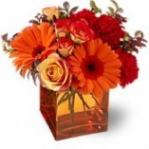 Autumn Gerberas & Roses Fall Bouquet