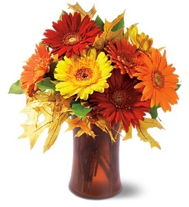 Autumn Gerbera's THX2010