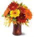 Autumn Gerbera's THX2010
