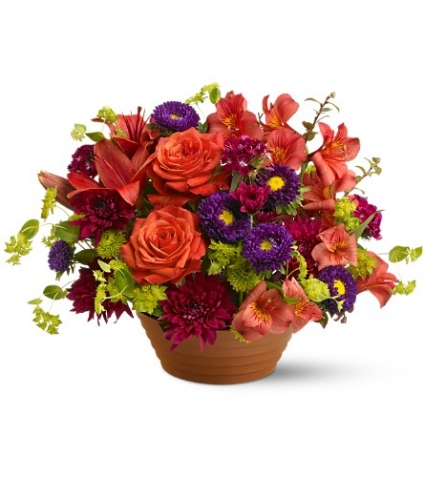 Autumn Glory EN-F7