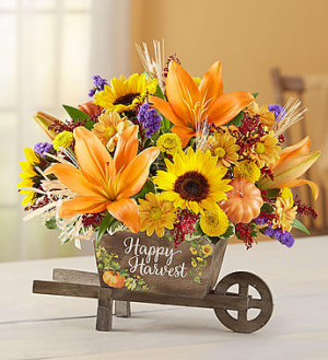 Autumn Happy Harvest On Sale regularly $59.99, now $49.99 in Gainesville, FL | PRANGE'S FLORIST Autumn Happy Harvest On Sale regularly $59.99, now $49.99 in Gainesville, FL | PRANGE'S FLORIST