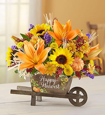 Autumn Happy Harvest On Sale regularly $64.99, now $54.99 in Gainesville, FL | PRANGE'S FLORIST Autumn Happy Harvest On Sale regularly $64.99, now $54.99 in Gainesville, FL | PRANGE'S FLORIST