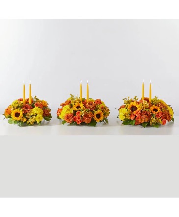 Autumn Harmony Centerpiece  in Bakersfield, CA | Valley Blooms Florist