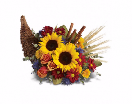 Autumn Harvest