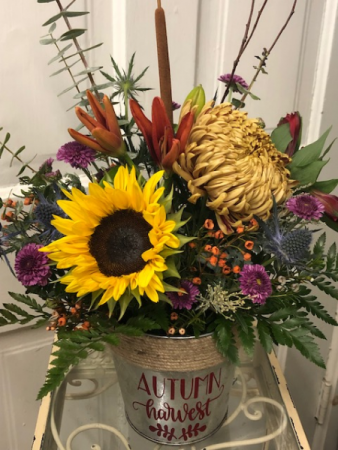 Autumn Harvest