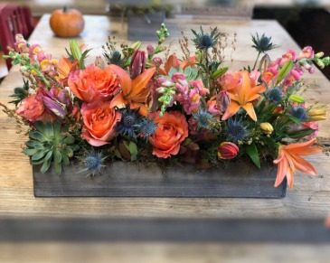 Autumn Harvest  in Oakland Park, FL | Eva's Flowers & Gifts